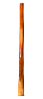 Ironbark Didgeridoo (IB281)